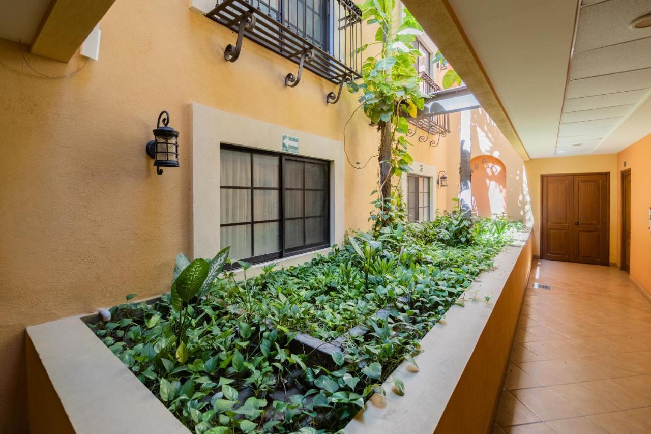 Hotel Colli San José del Cabo Eksteriør bilde