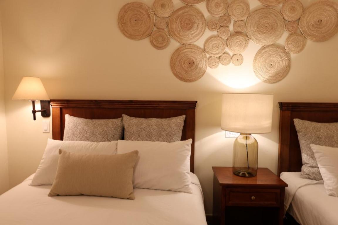 Hotel Colli San José del Cabo Eksteriør bilde